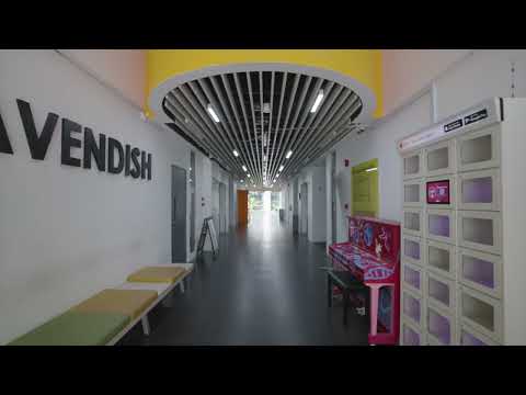 The Curie, 83 Science Park Drive, 9,332 sqft, Business / Science Park For Rent, by CapitaLand Limited, 24895331 - CommercialGuru.com.sg