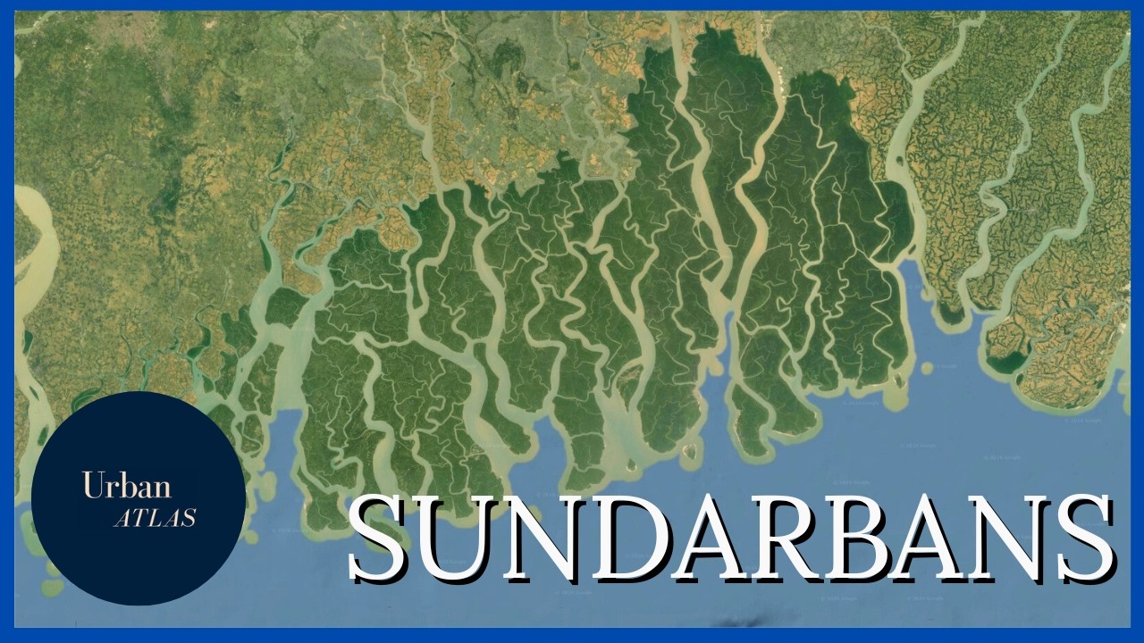 The Dynamic Geography of the World's Largest River Delta.