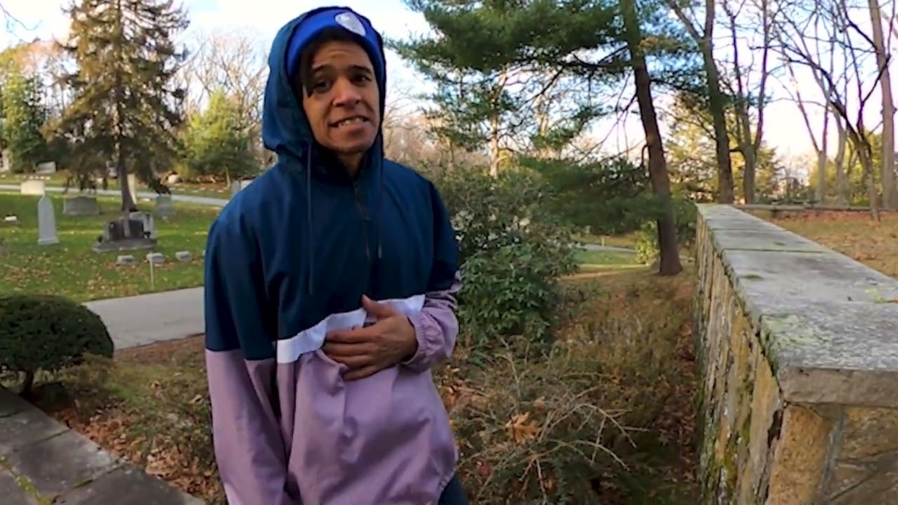 Promotional video thumbnail 2 for BLOOMiNGFiELD