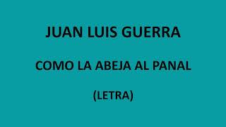Juan Luis Guerra - Como la abeja al panal (Letra/Lyrics)