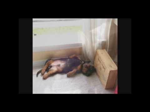 Impact vs Moving Elements - Blame It On The Sun (GMusic Radio Edit)