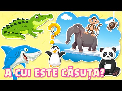 A cui este casuta? - In Marea Albastra | Cunoasterea mediului - Copilasi Dragalasi
