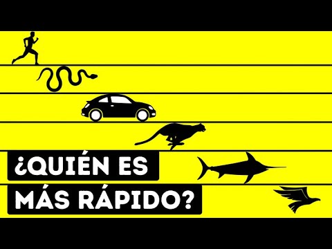 ¿Quién es el ser vivo más rápido del mundo?