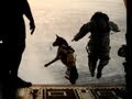 Sniffing Out Bombs America S Most Elite Dogs