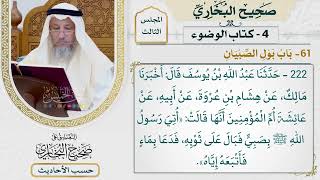 [222] حديث: أتي رسول الله بصبي فبال على ثوبه، فدعا بماء فأتبعه إياه [كتاب الوضوء - باب بول الصبيان]