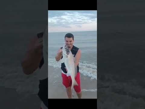 Pesca de Corvina "Carbonera" Uruguaya por el Apa en la Floresta!