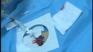 Jack&#39;s Mannequin, &quot;Dear Jack&quot;