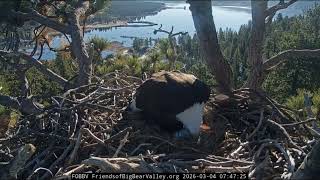 03-04-26  Home is where the nest is
