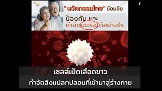 นวัตกรรมไทย ย้อนวัย และ กำจัดมะเร็งได้อย่างไร นวัตกรรมไทย ย้อนวัย และ กำจัดมะเร็งได้อย่างไร