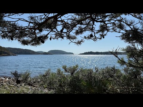 Fiske, eld och stillhet – friluftsliv på Kalvön, en ö i Bohuslän