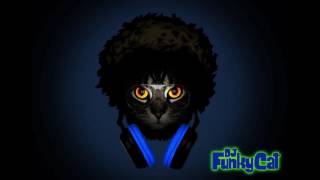 Wildchild ✧ Renegade Master (Fatboy Slim Old Skool Mix)