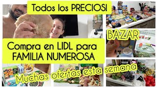 LIDL COMPRA CON OFERTAS/Familia NUMEROSA/CUÁNTO GASTO!/Cuchillo NIÑOS#familianumerosa #descuentos