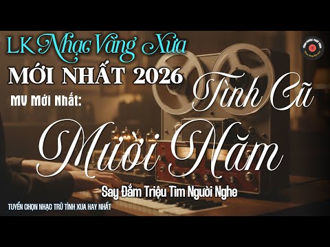 Top 20 Bản Nhạc Vàng Sến Xưa CỰC HAY 2025 - MV DIỄN QUÂN - Nhạc Bolero Trữ Tình ĐỘC ĐÁO, CỰC DỄ NGHE