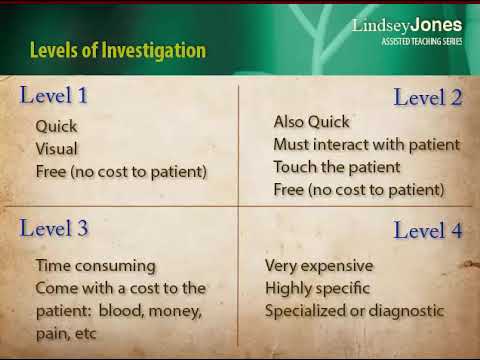 lindsey jones tutorial 2