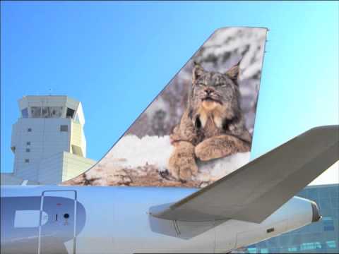 Frontier Airlines: Vacation