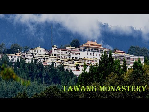 Tawang video