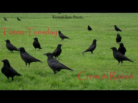 WCD - Totem Tuesday 2 - Crow & Raven