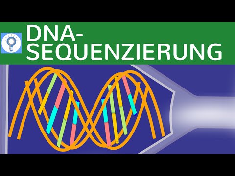 Diabetes, die Ferse Essay über Tuberkulose bei Diabetes