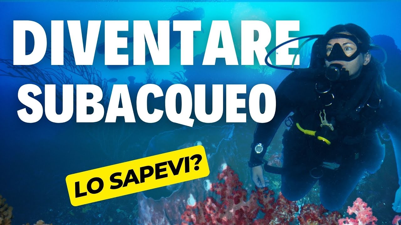 Imparare a fare Immersioni subacquee nel 2024 - 7 cose che devi sapere!