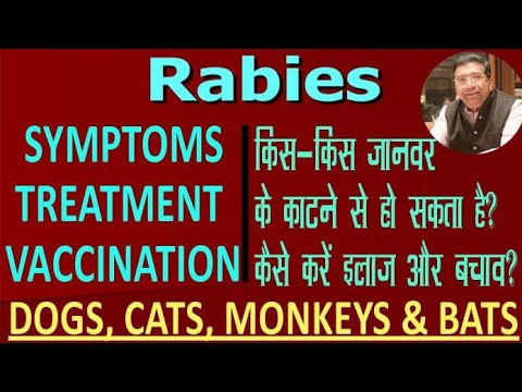 Symptoms Treatment and Prevention of Rabies | Dogs, Cats, Bats and Monkey bites Need Rabies Vaccine