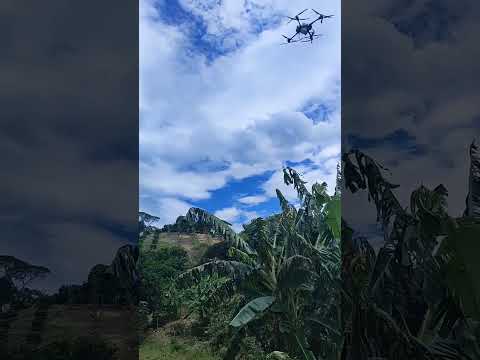 Aplicación de herbicida en vereda Pablico de Guadalupe Huila #foryou #youtube #ytshorts #viral #fpy