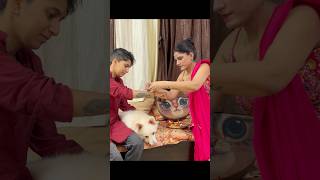 Humara Rakhi Festival kuch aisa raha #evysharma #festival #rakhi #rakshabandhan #love #family #dog