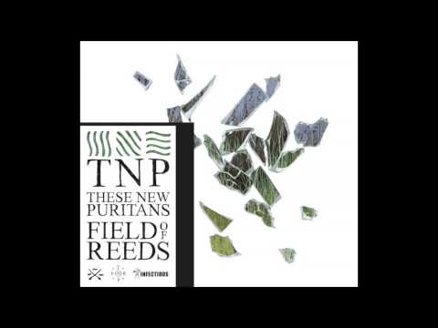 These New Puritans - Organ Eternal