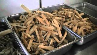 Berardis Family Kitchen - Sandusky Ohio Restaurants