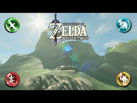 What If Champion's Abilities Work in Shrines?