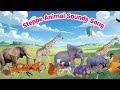 Steppe Animal Sounds Song Learn Animal Noises For Kids ABC KIDS WORLD