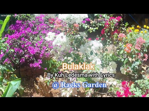 Bulaklak - Kuh Ledesma