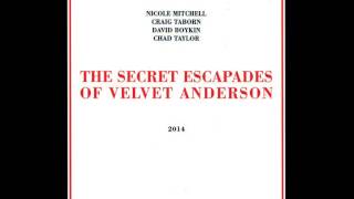 Nicolle Mitchell's Sonic Projections - Secret Asignment