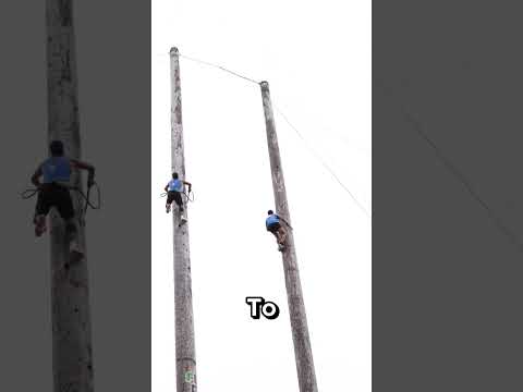 Race Gone Wrong! #trend #shorts #viral #hot #redbull #facts #funny