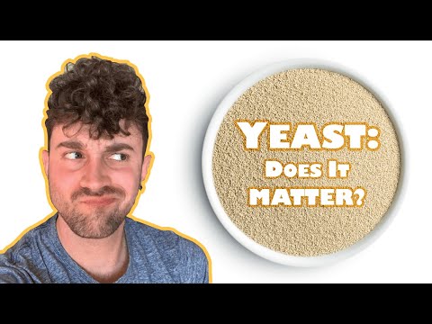 Does size...er, yeast, matter?: BREAD yeast vs. WINE yeast