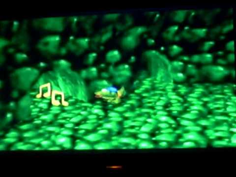 Banjo-Kazooie Mumbo Tokens and Empty Honeycomb Pieces in Bubblegloop Swamp!