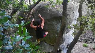 Video thumbnail of Litofag, 6a. Can Bruguera