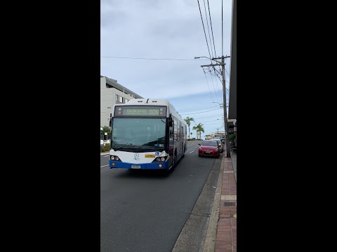 2190ST Transport Vlog 156: [STA] Mercedes O500LE CNG (1900 STA Livery 309 Redfern)