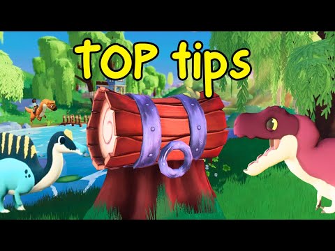 Paleo Pines 10 TIPS for beginners