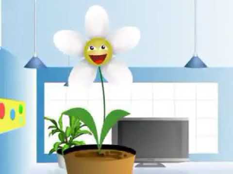 Шуточная песня