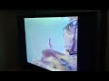 Closing To Bambi 1989 VHS