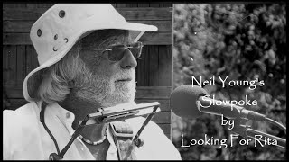 Neil Young's Slowpoke (with lyrics) by Looking For Rita