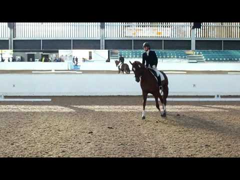 Anna Davey by Dr Doolittle SOLD