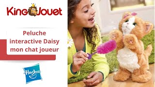 Chat Furreal Watch Hd Mp4 Videos Download Free