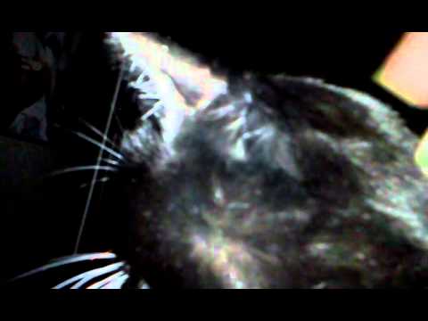 Darien likes the cave of solitude.