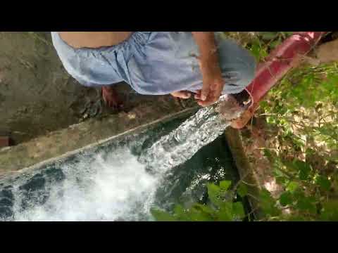 BIG BOY TUBEWELL SWIMMING VIDEO 📸 #bathing #swimming #vlog 