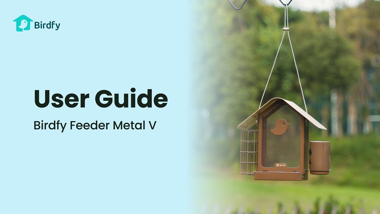 Birdfy Futterspender Metall V 1080PHD mit Kamera Birdfy Futterspender Metall V 1080PHD mit Kamera