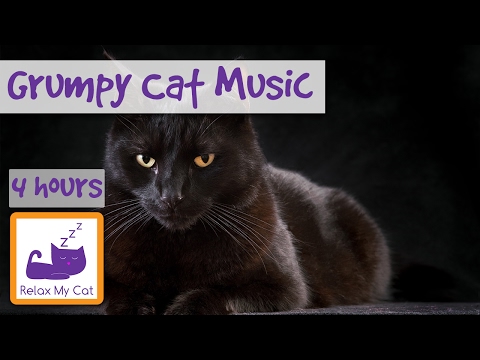 4 Hours of Music for Aggressive Cats, Music for Antisocial Cats and Kittens, Music for Grumpy Cat