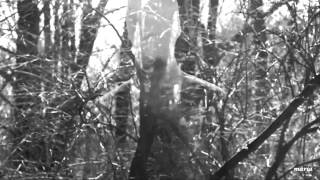 Te Amaré, Y Después, Te Amaré ( Silvio Rodriguez )