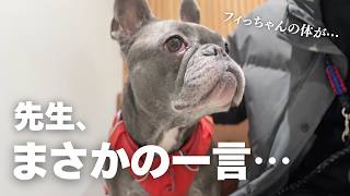 トリミング後に愛犬が異変… まさかの結果に…