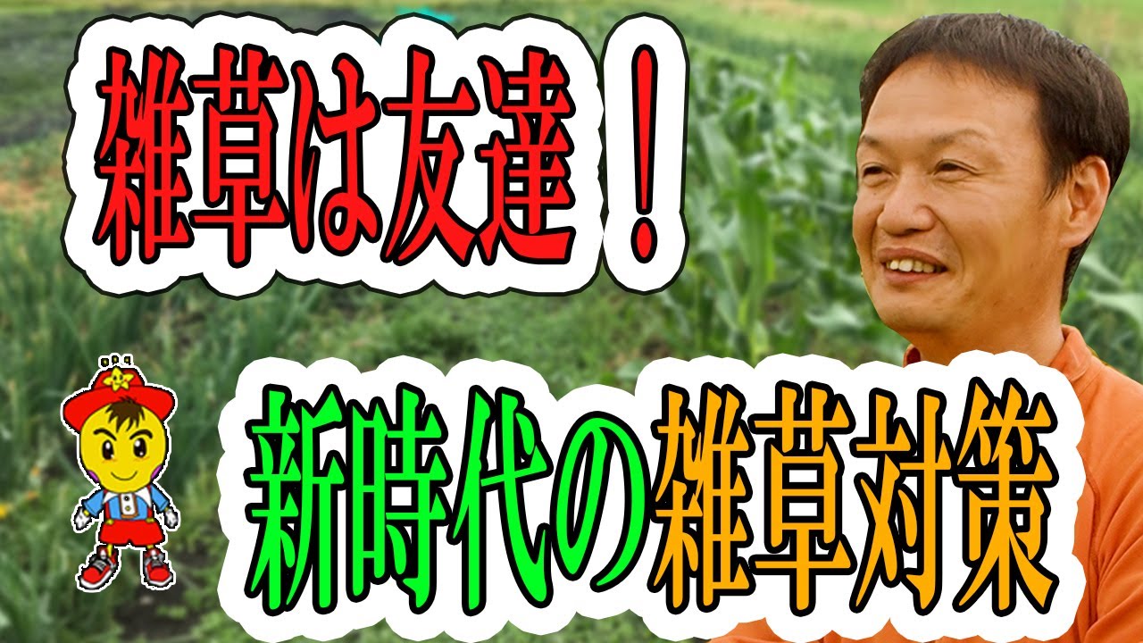 【自然栽培】雑草を抑える3つの基本対策と土が変化する仕組み